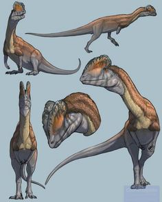 an artist's rendering of the dinosaurs in various poses, including their head and neck