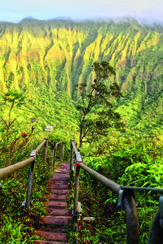 stairs leading up to the top of a mountain with lush green mountains in the background