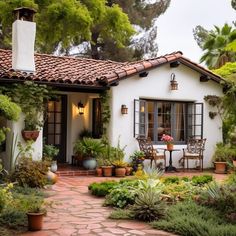 a white house surrounded by greenery and potted plants