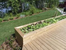 a wooden planter filled with lots of plants on top of a grass covered field