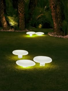 some lights that are sitting on the grass in front of trees and palm tree's