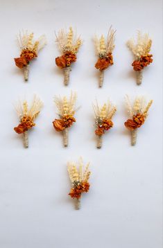 nine small flowers are arranged in the shape of carrots and corn stalks on a white surface