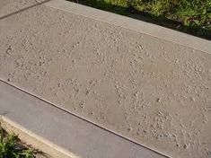 a skateboarder is doing a trick on the cement ramp in front of some bushes