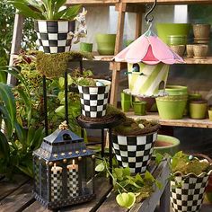 several potted plants are sitting on a table in front of other pots and planters