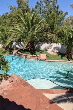 an empty swimming pool surrounded by palm trees