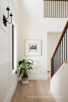 a plant in a pot on the floor next to a stair case and framed photograph