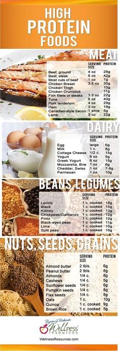 79 high protein foods | don't forget to look at the fat and carb content too Protein Diets, Wellness Blog, Body Fitness, High Protein Recipes, Protein Foods, Healthy Options, Sangria