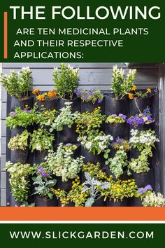 a vertical garden wall with plants growing on it and text overlay that reads, the following are ten medical plants and their respective applications