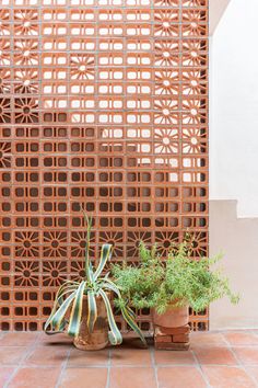 two potted plants sitting next to each other in front of a latticed wall