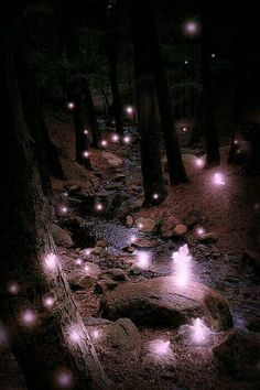 some lights that are on the ground in the woods by a stream with rocks and water