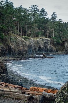 an ocean shore with trees and rocks in the foreground