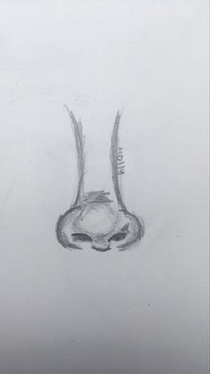 a pencil drawing of a nose with long, curved lashes and an eyeball in the middle