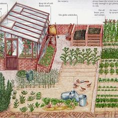 an illustrated diagram of a vegetable garden