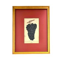 a painting of grapes in a gold frame on a white wall with a red background