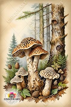 a painting of mushrooms in the forest