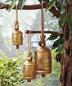 three bells hanging from a tree branch