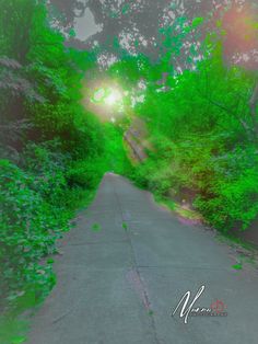 the sun shines brightly through the trees on an empty road surrounded by greenery