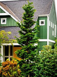 a green house with white trim and trees in the front yard on a cloudy day