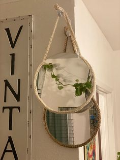 a mirror hanging from the side of a wall with a plant growing in it's center