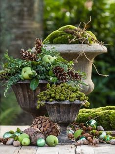 a vase filled with lots of different types of plants and fruit on top of a table