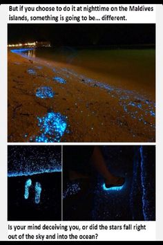 an image of some blue lights on the ground and in the water with words above it