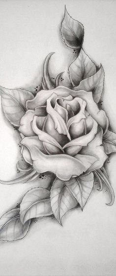 I love rose tattoos! They are just so elegant yet they could also be sassy. Drawing Of A Rose, Anklet Tattoo, Anklet Tattoos, Rose Drawing, Roses Drawing, Hip Tattoo, Pencil Art Drawings, Foot Tattoos