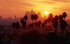 the sun is setting behind palm trees in front of a cityscape that reads to live and die in la