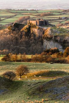 sheep graze on the grass in front of an old stone castle with trees around it