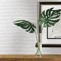 two large green leaves in a clear vase on a table next to a framed photograph