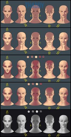 an image of different types of head shapes