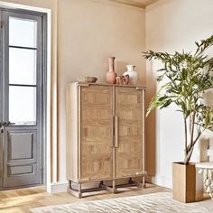 a living room with a wooden cabinet next to a potted plant on top of a rug