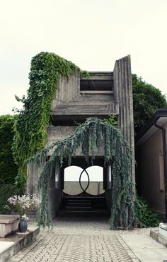 an old building with vines growing over it