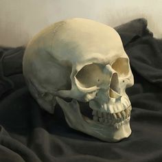 a human skull on a black cloth with one eye open and the other half closed