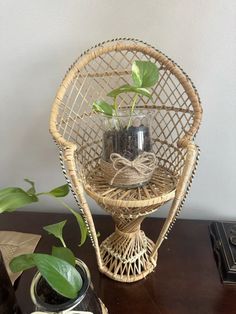 a wicker chair with two plants in it