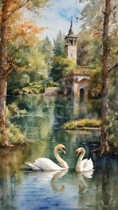 Beautiful Bird Drawing, Swans Aesthetic, Swan Lake Painting, Swan Paintings, Swans Painting, Lake Drawing, Vintage Landscape Paintings, Swan Watercolor, Swan Painting