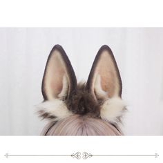 Five color options, white rabbit faux fur hairband, gray / brown / blonde / black bunny ears KC.  Price for a KC only. Black Bunny Ears, Brown Bunny, Bunny Ears Headband, Black Bunny, Alice Book, Wire Headband, Fox Ears, Wardrobe Accessories, Mocha Brown