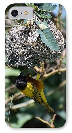 a bird is hanging from a nest in a tree