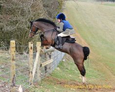 a person riding on the back of a brown horse jumping over a wooden fence with trees in the background