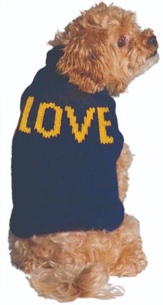 Alpaca LOVE Dog Sweater - Le Pet Luxe Chilly Dogs, Sweaters For Fall, Love Sweater, Tea Cup Dogs, Knit Dog Sweater, Cozy Dog, Fall Dog, Designer Dog Clothes, Puppy Clothes