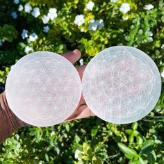 two frisbees being held in front of some trees