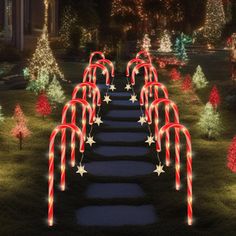 christmas lights are lit up on the walkways in front of trees and bushes at night