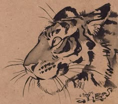 an ink drawing of a tiger's head on a piece of brown paper with black ink