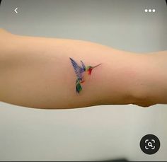 a small hummingbird tattoo on the left arm and right arm, it's colorful