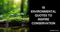 Environmental Quotes