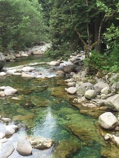 a river running through a forest filled with lots of rocks and green trees in the background