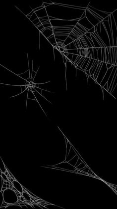 spider webs are shown in black and white