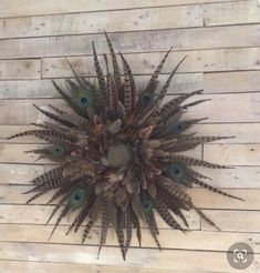 a clock that is on the side of a wooden wall with peacock feathers around it