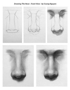 four different stages of drawing nose and nose with the words, how to draw noses