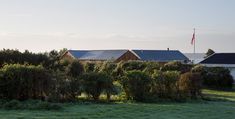 a row of houses sitting on top of a lush green field next to the ocean