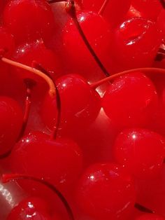 red cherries with water droplets on them are in a bowl, ready to be eaten